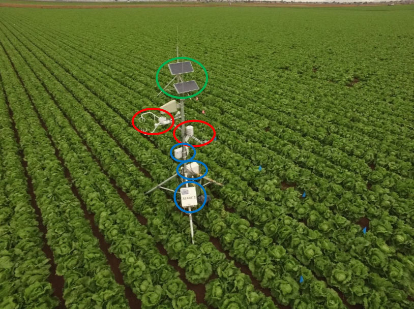 Fig2_with_annotation_DJI_0912.jpg